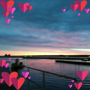 Meet your Posher, Shelly